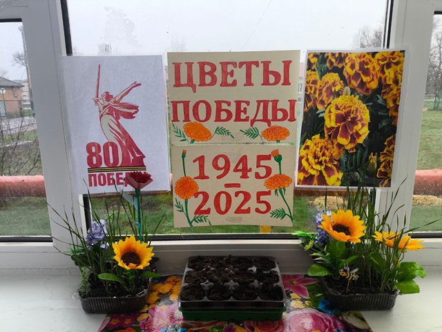 foto 2025 03 21 10 09 1
